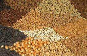 Agro & agro based products & commodities